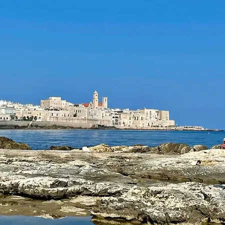 Apartamento Albachiara *